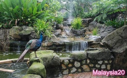 Kuala-Lumpur-Bird-Park-%20malaysia20_loxblog-4.jpg