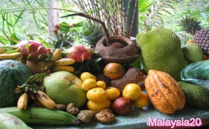 تور-مالزی-دیدنی-های-جاذبه-های-مالزی-میوه-های-باغ-میوه-استوایی-پنانگ 